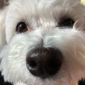 Meet your Posher, Min